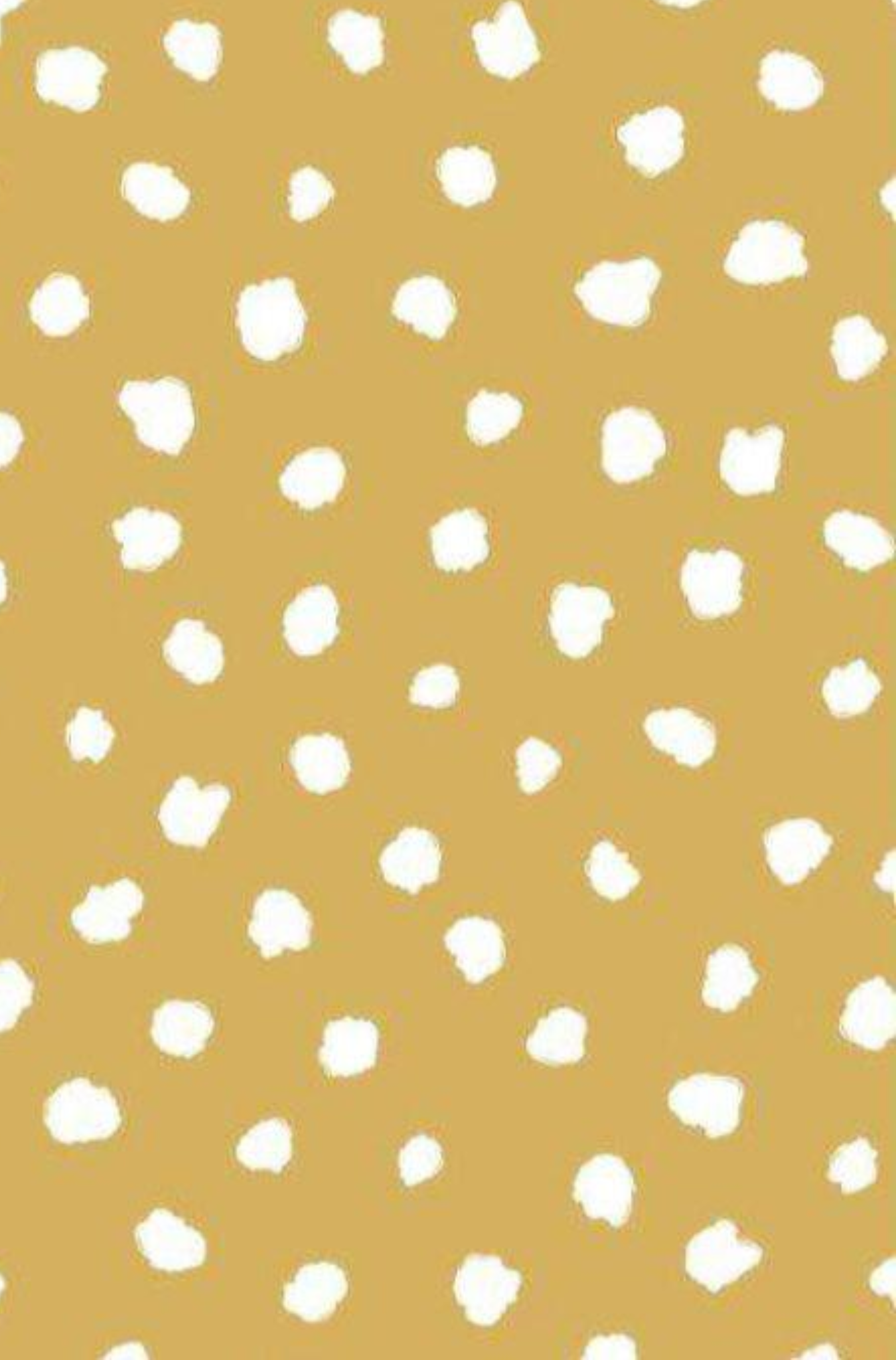 Conjunto Infantil Manga Curta Bela Fera