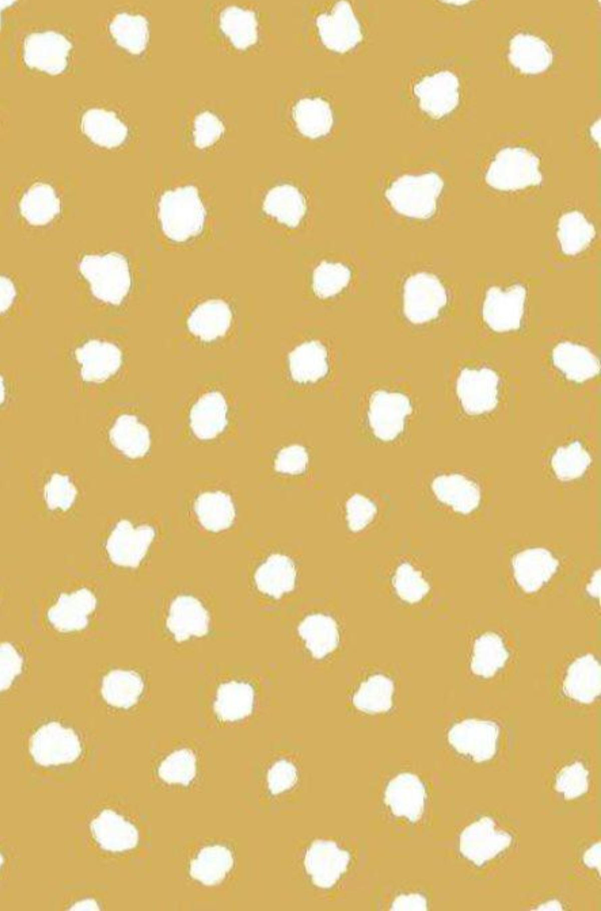 Conjunto Infantil Manga Curta Bela Fera